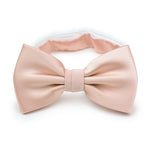 Champagne Solid Bowtie - MenSuits
