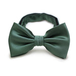 Pine Solid Bowtie - MenSuits