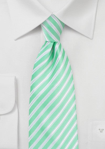 Spring Bud Summer Striped Necktie