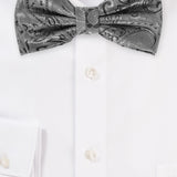 Mercury Silver Proper Paisley Bowtie