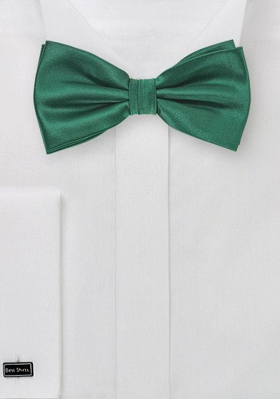 Hunter Solid Bowtie - MenSuits