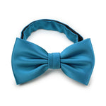 Peacock Solid Bowtie - MenSuits