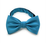 Peacock Solid Bowtie - MenSuits