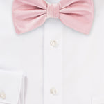 Petal Solid Bowtie - MenSuits