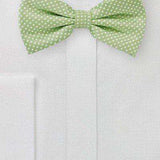 Sage Green Pin Dot Bowtie - MenSuits