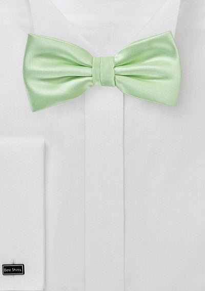 Water Mint Solid Bowtie - MenSuits